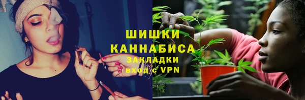 сатива Касимов