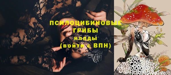 сатива Касимов